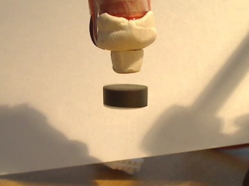A small magnet floating